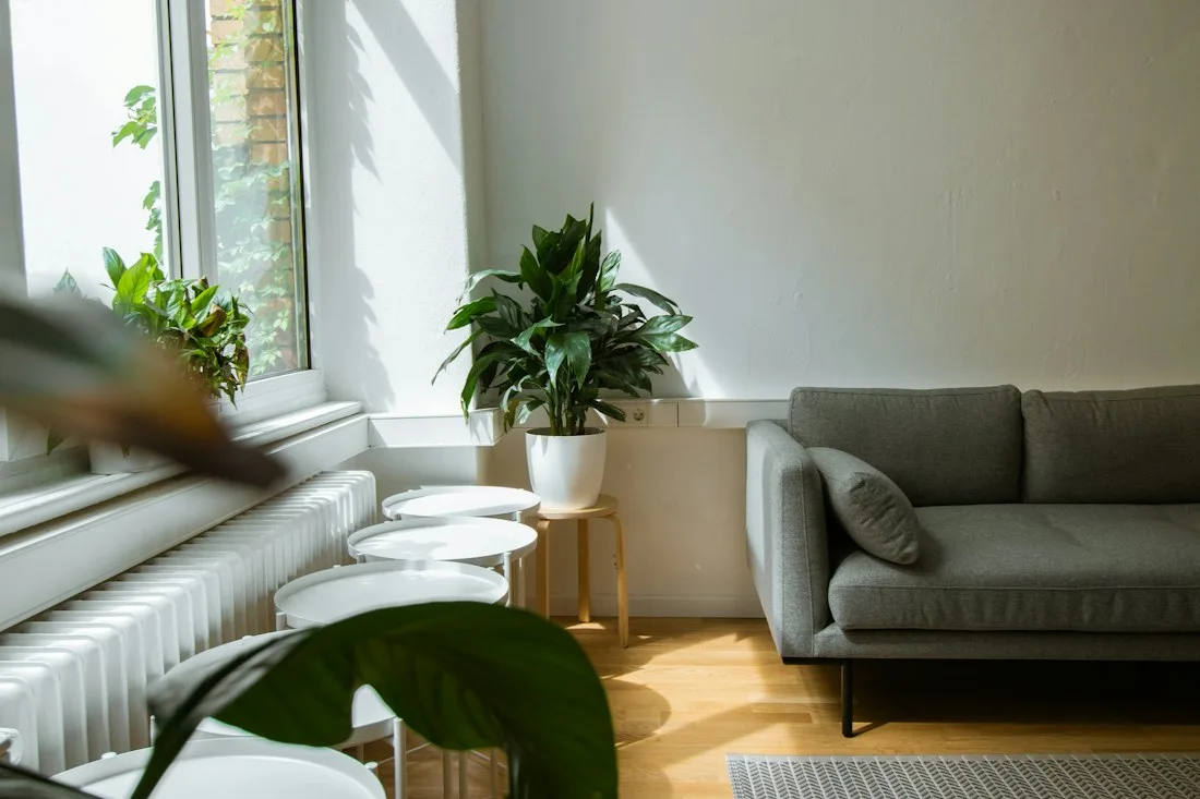 Sofa upholstery in a bright living room